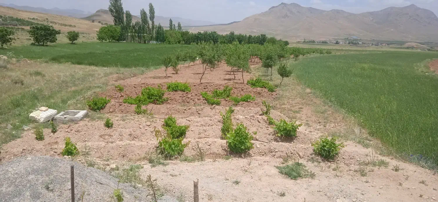 باغ تکمیل در بهترین لوکیشن، آینده دار|فروش زمین و ملک کلنگی|فریدونشهر, |دیوار