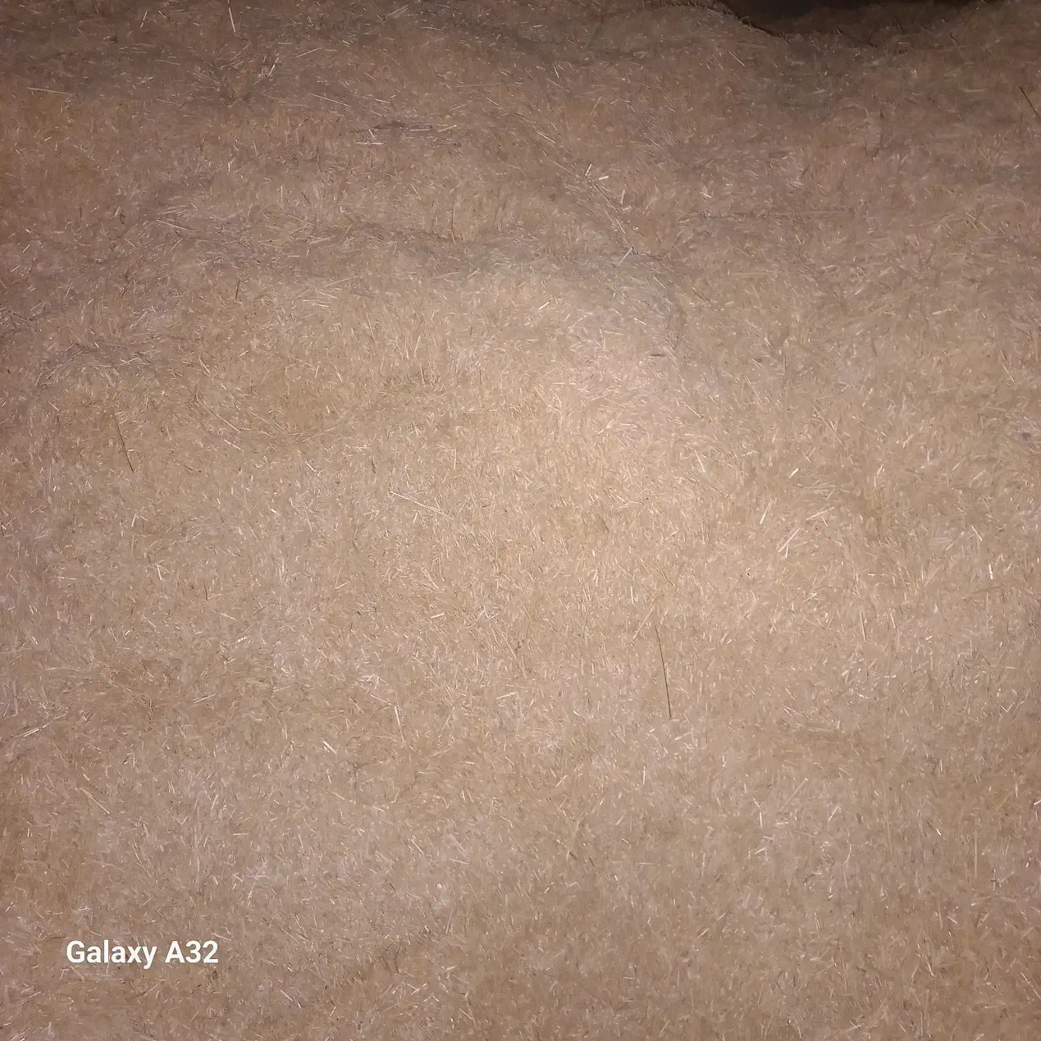 فروش کاه گندم دیمی|لوازم جانبی حیوانات|ترکمانچای, |دیوار