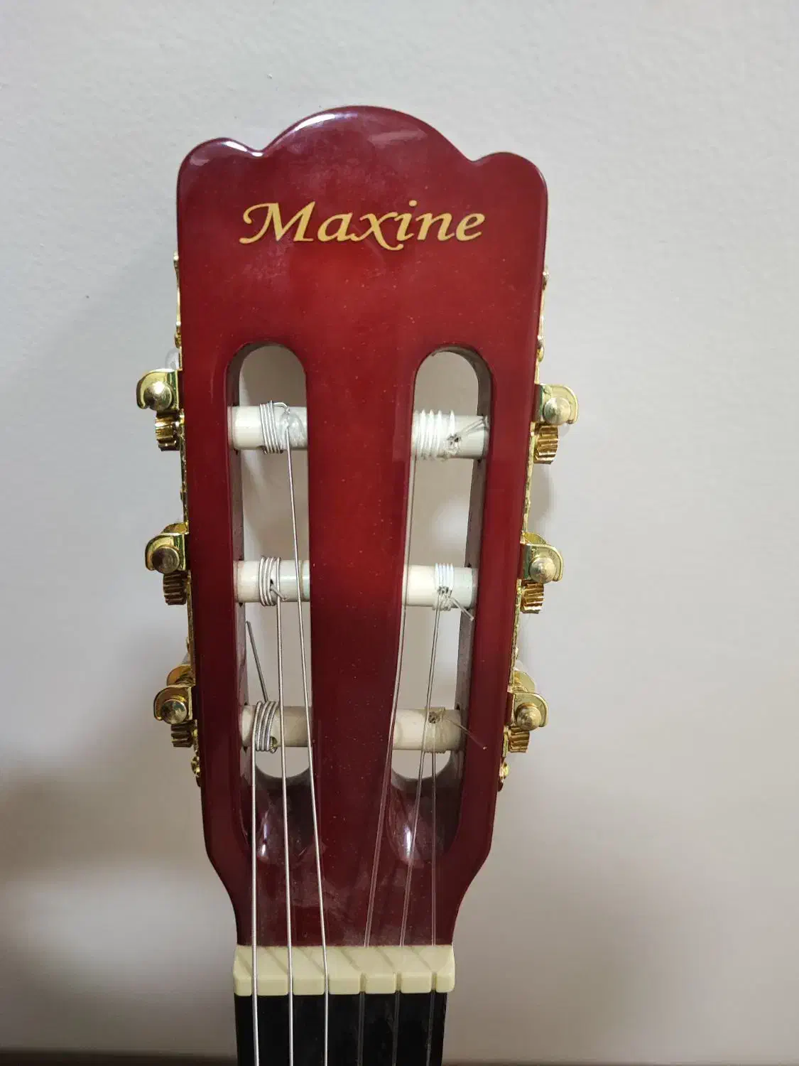 گیتار ماکسین|گیتار، بیس، امپلیفایر|تهران, سهروردی|دیوار