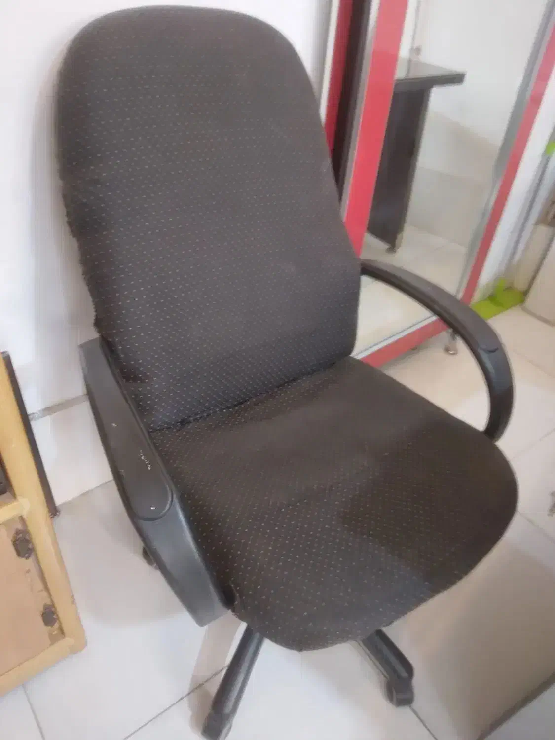 میز و صندلی و مرغ عشق و قالپاق|پرنده|مشهد, رستگار|دیوار