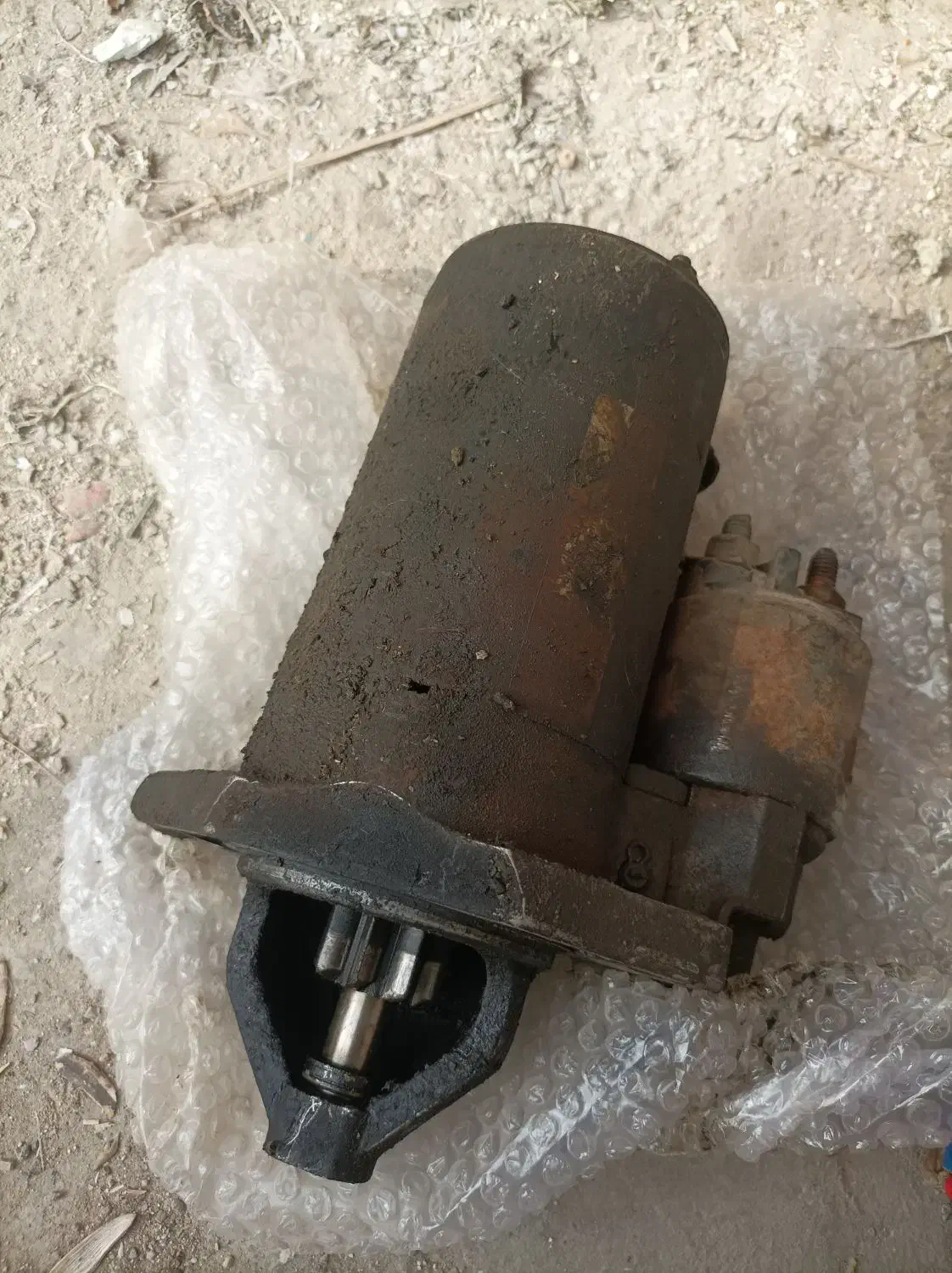 پرنده|پرنده|سوسنگرد, |دیوار