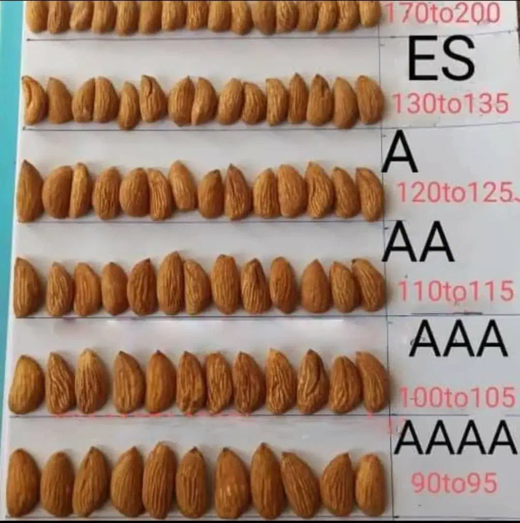 کوددهی زمستانه بسیار مهم برای افزایش باردهی|خدمات باغبانی و درختکاری|زاینده رود, |دیوار