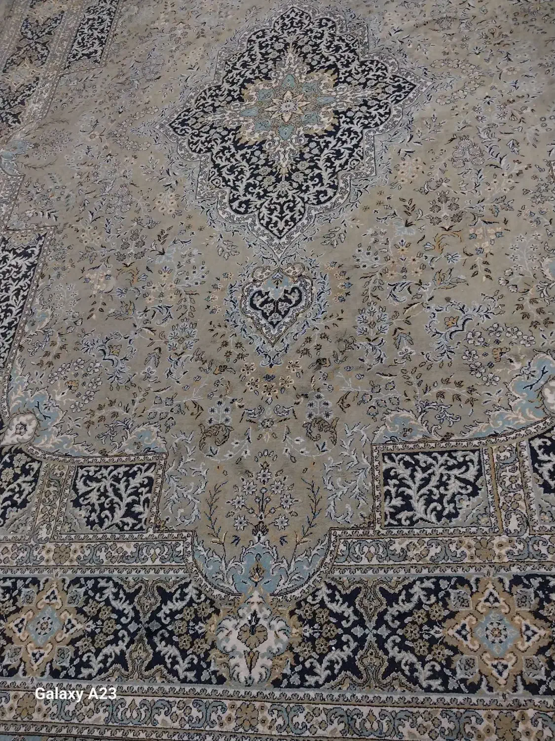 قالی|فرش|داراب, |دیوار