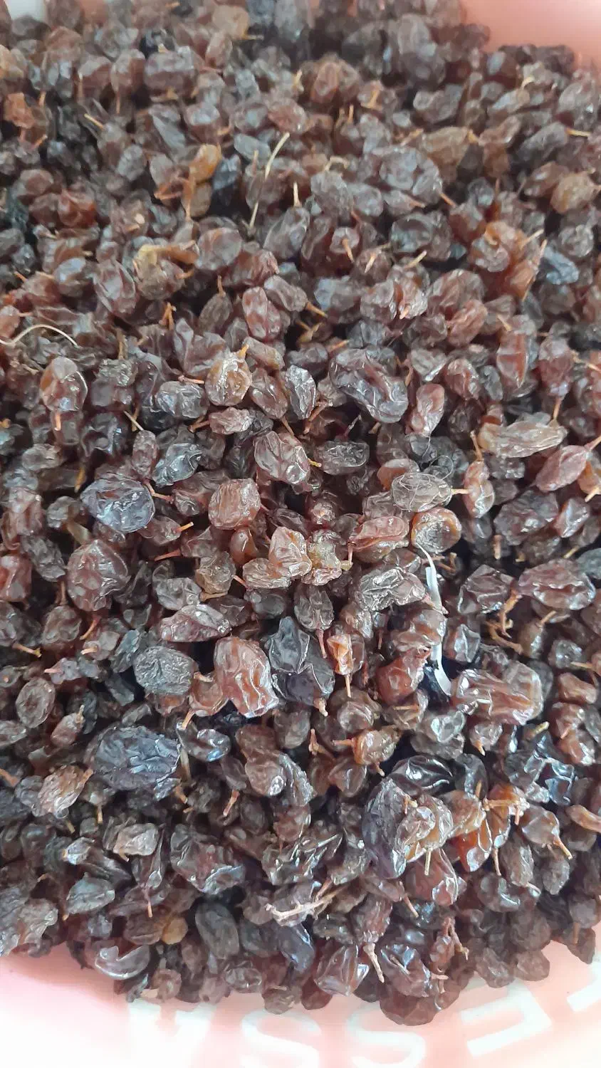 کشمش|خوردنی و آشامیدنی|میاندوآب, |دیوار