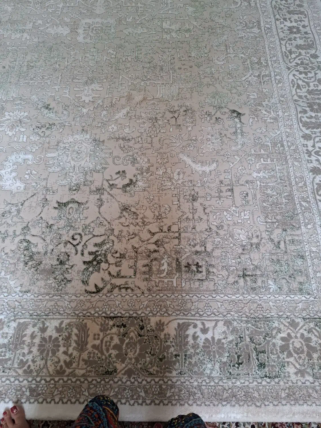 قالی 9 متری|فرش|سیرجان, |دیوار