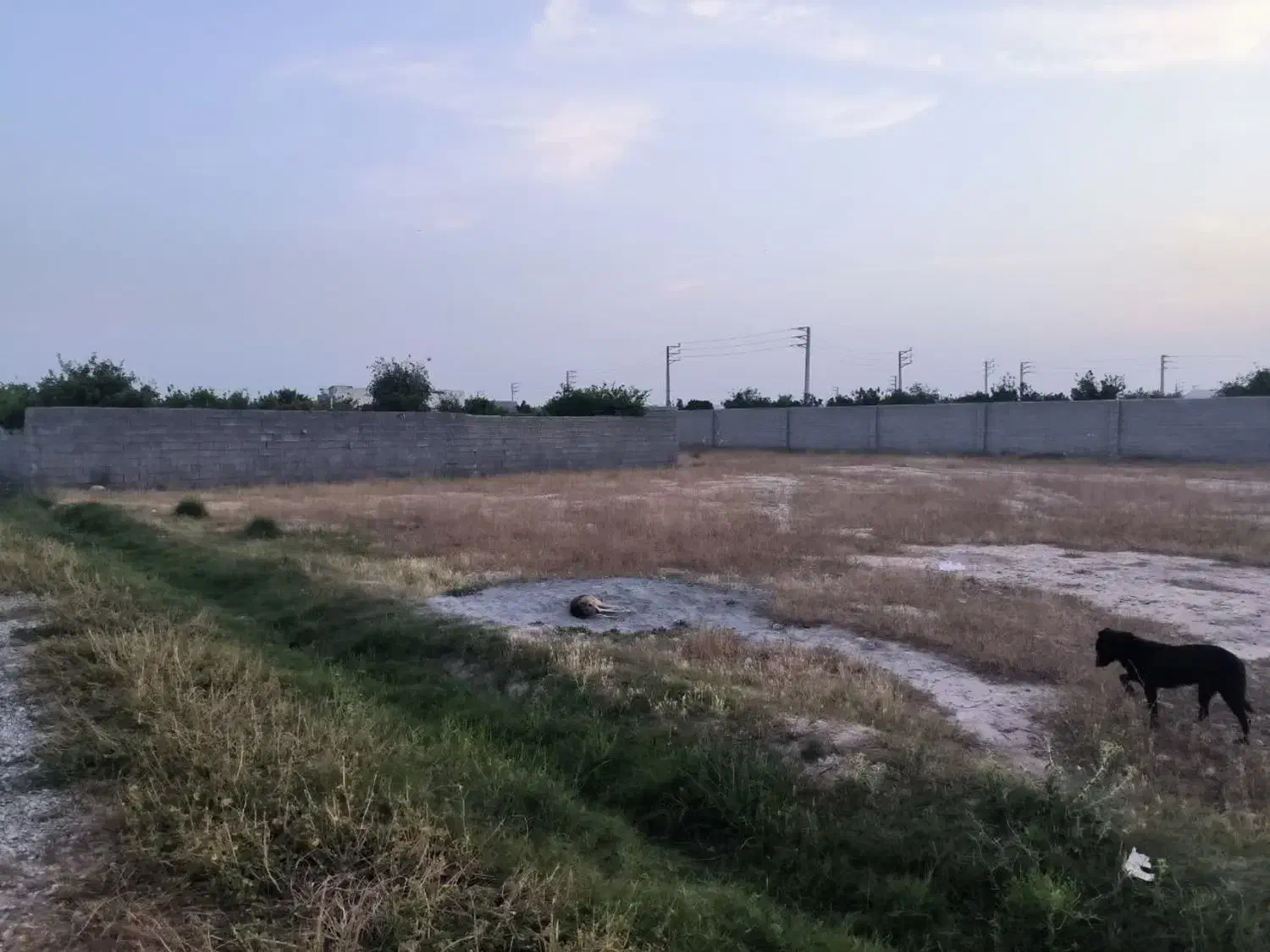 زمین جاده خوشبختی کوچه باغ فاران|فروش زمین و ملک کلنگی|دزفول, |دیوار