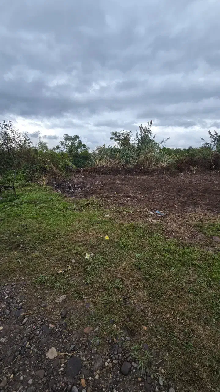 کدمشت اصغر/۱۱۰۰متر زمین بخر۱۰۰۰متر دیگه جایزه ببر|فروش زمین و ملک کلنگی|کوچصفهان, |دیوار