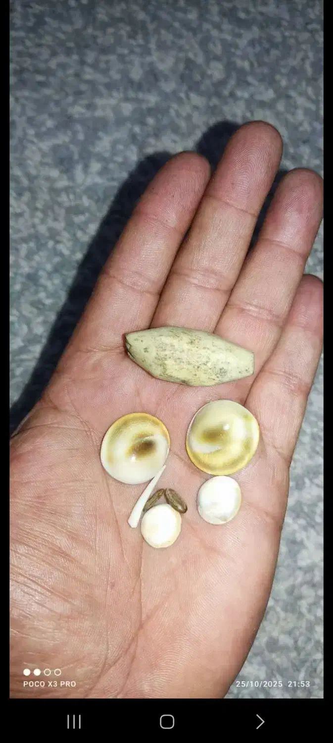 مهره قدیمی|جواهرات|کیار, |دیوار