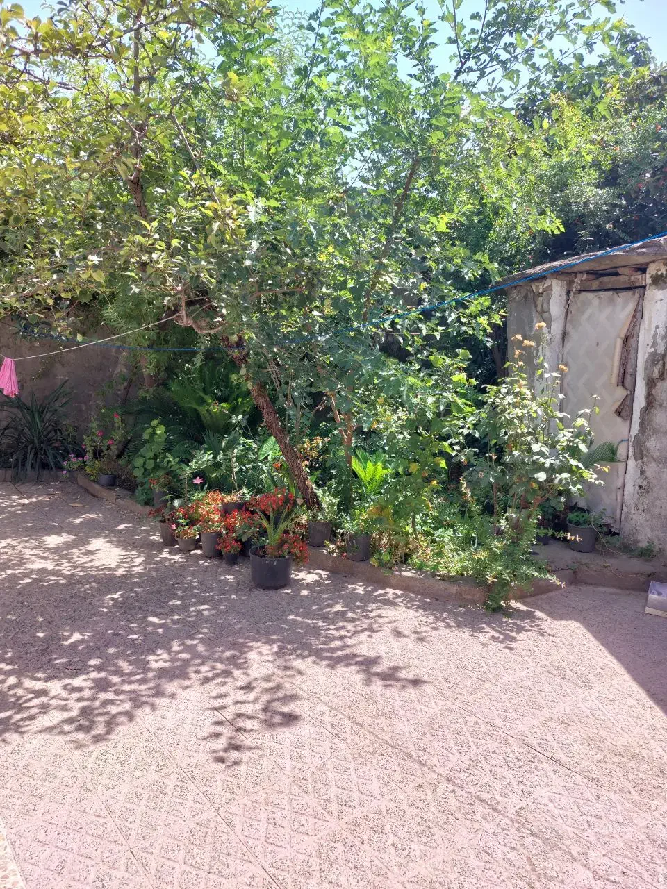 ۲۲۵ متر ویلایی رودبارتان|فروش خانه و ویلا|رشت, رودبارتان|دیوار