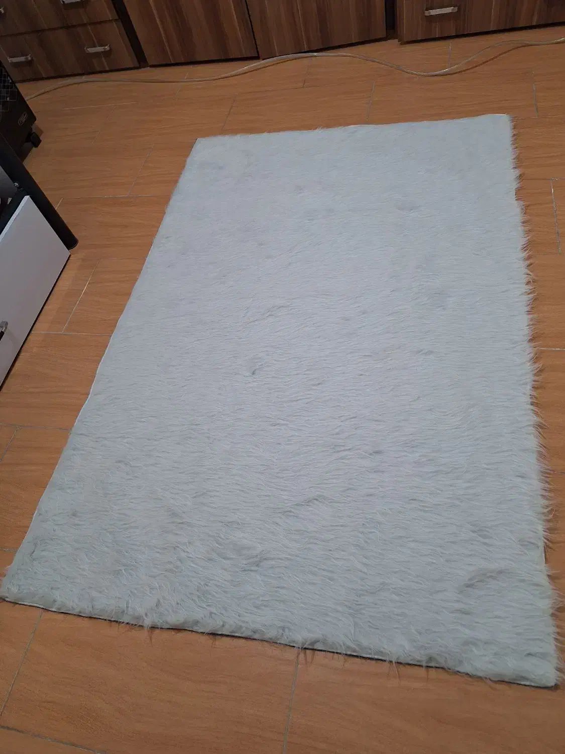 فرش فانتزی  پرز بلند اتاق خواب و آشپزخانه|فرش|نیشابور, فردوس شمالی|دیوار