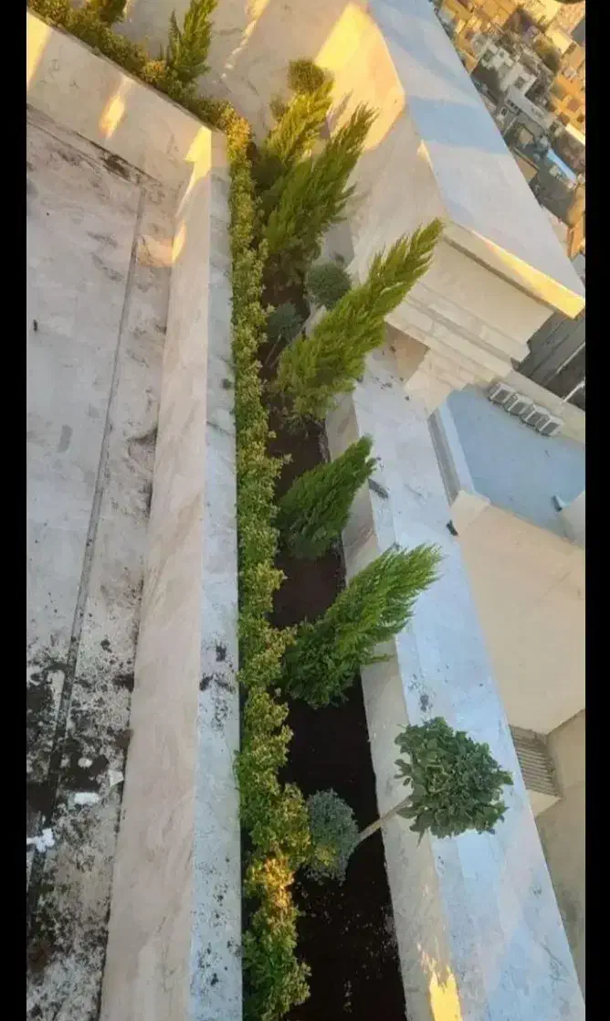 خدمات باغبانی باغچه کاری گل کاری تعویض خاک گلدان|خدمات باغبانی و درختکاری|اسلام‌شهر, شهرک احمدیه|دیوار