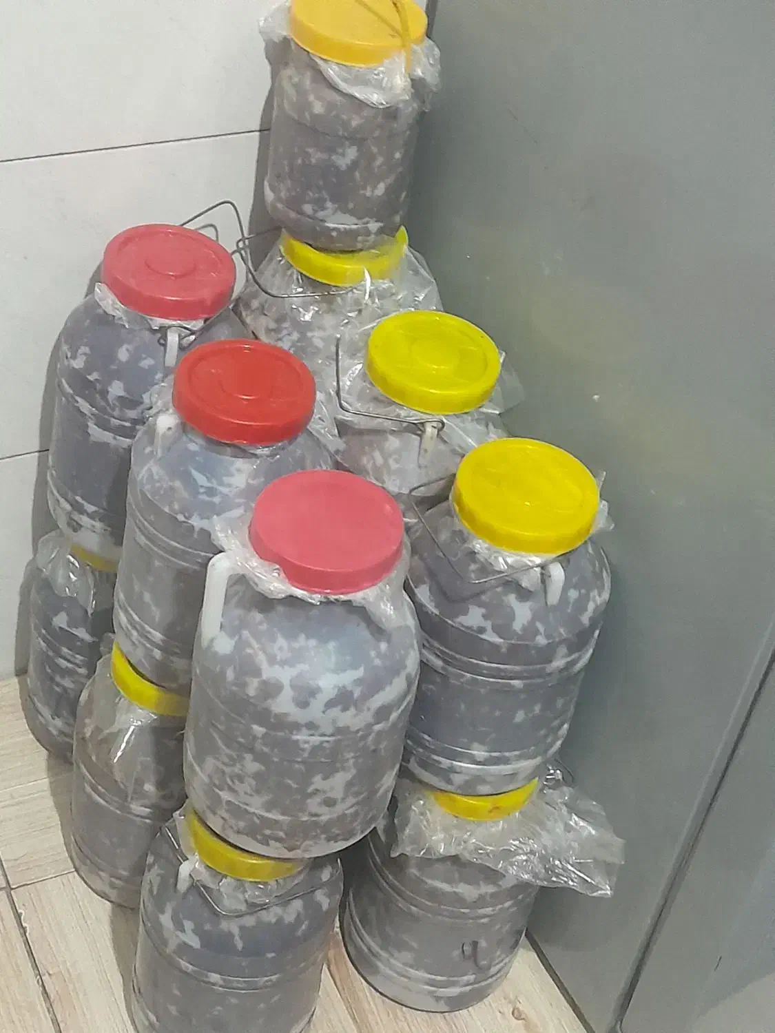 خرمای چنگالی|حراج|سیب و سوران, |دیوار