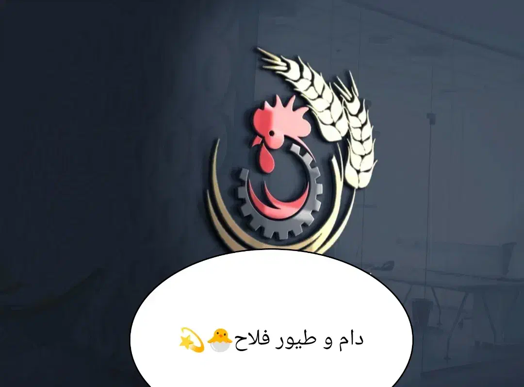 فروش مرغ و خروس گوشتی ارگانیک|حیوانات مزرعه|قم, علی آباد سعدگان|دیوار