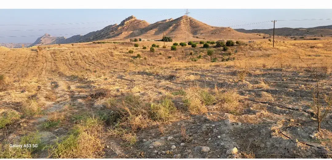 زمین باغی روستای توریستی سرآب‌ننیز گچساران|فروش زمین و ملک کلنگی|باشت, |دیوار