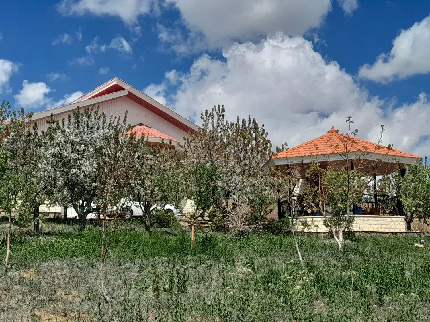 همسفر|تور و چارتر|تهران, میدان ولیعصر|دیوار