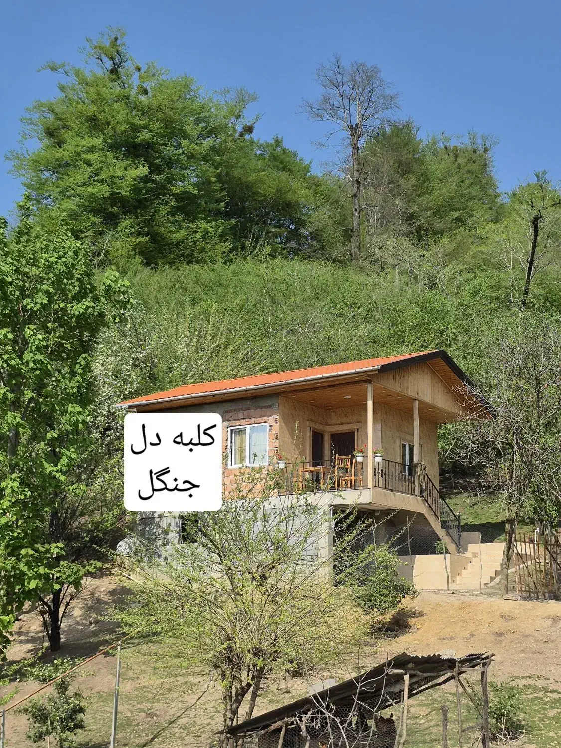 اجاره ویلا جنگلی|اجارهٔ کوتاه‌مدت ویلا و باغ|بابل, |دیوار