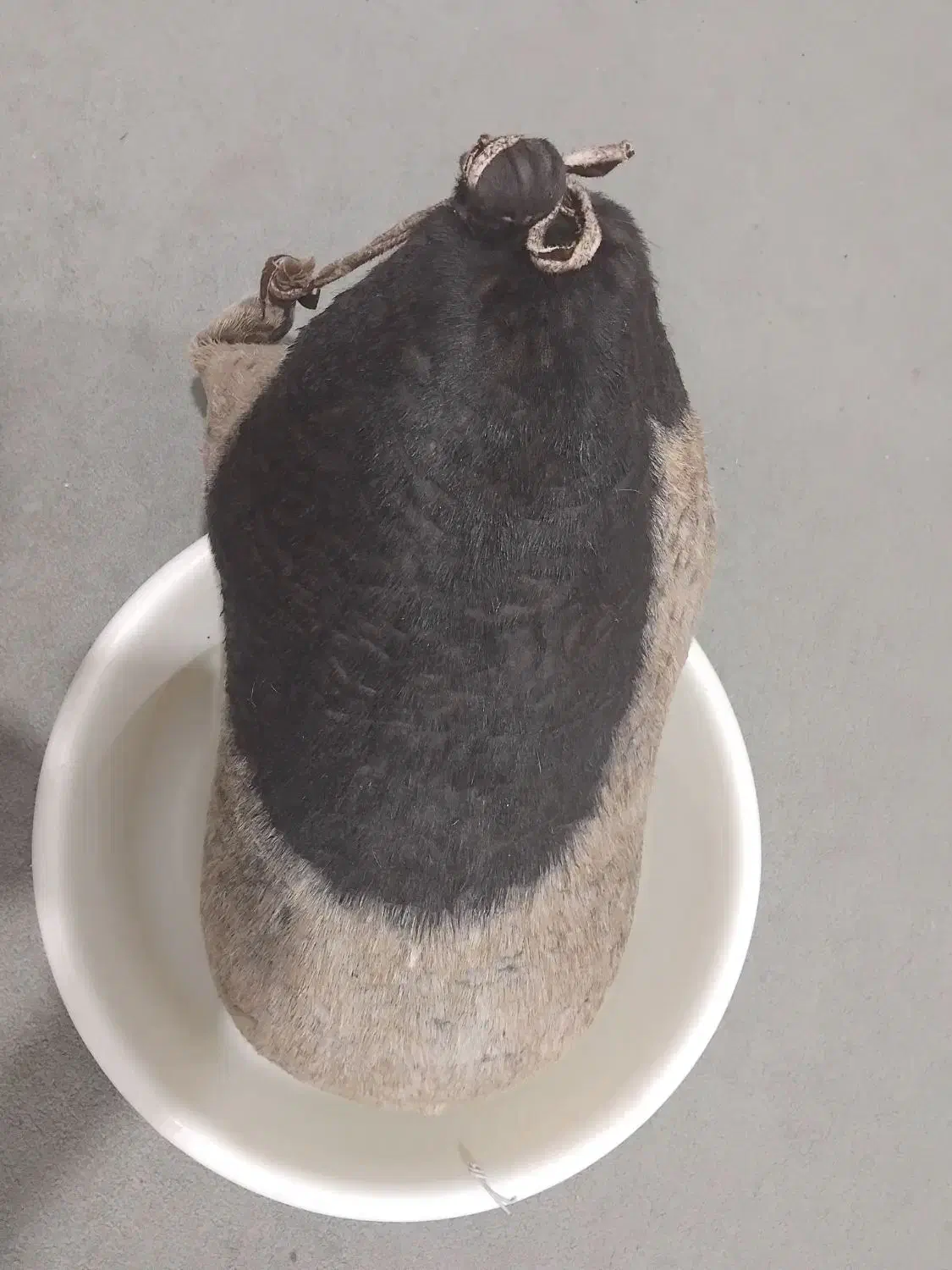 هیزه|ظروف نگهدارنده، پلاستیکی، یک‌بارمصرف|کوهدشت, |دیوار