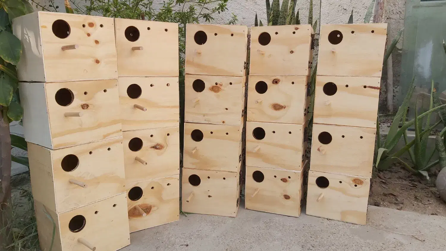 لونه عروس هلندی|لوازم جانبی حیوانات|بندرعباس, |دیوار