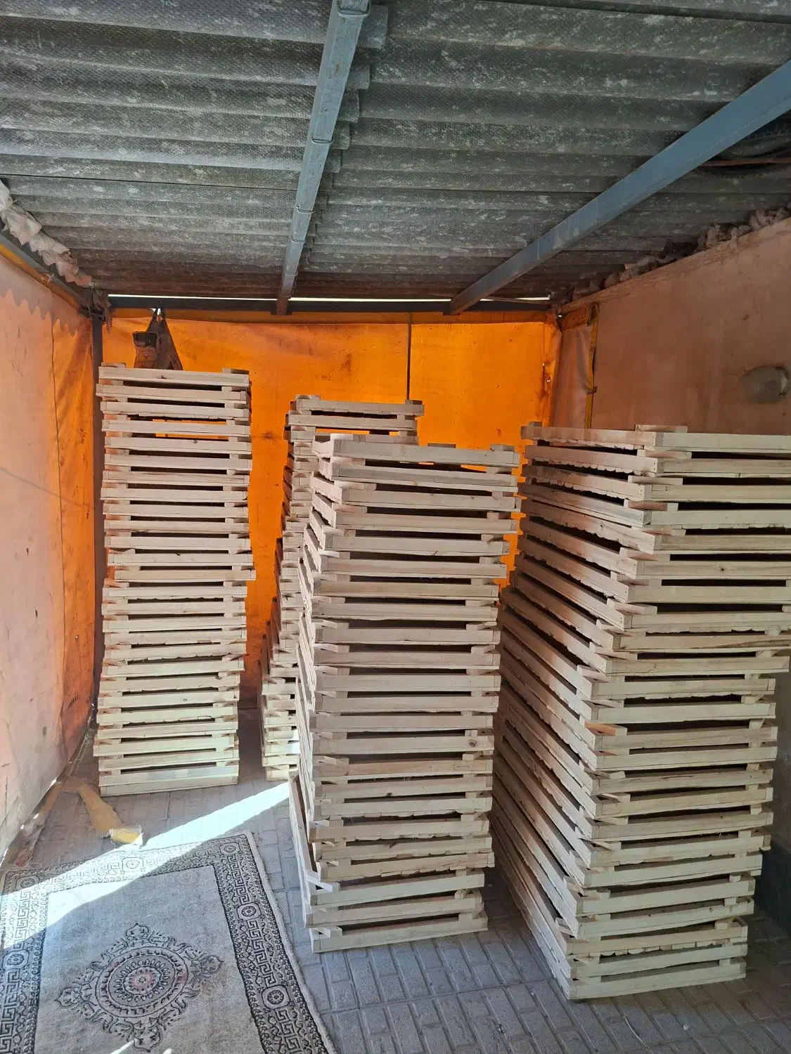 دم گیری و پاک کردن کشمش|خوردنی و آشامیدنی|قوچان, |دیوار