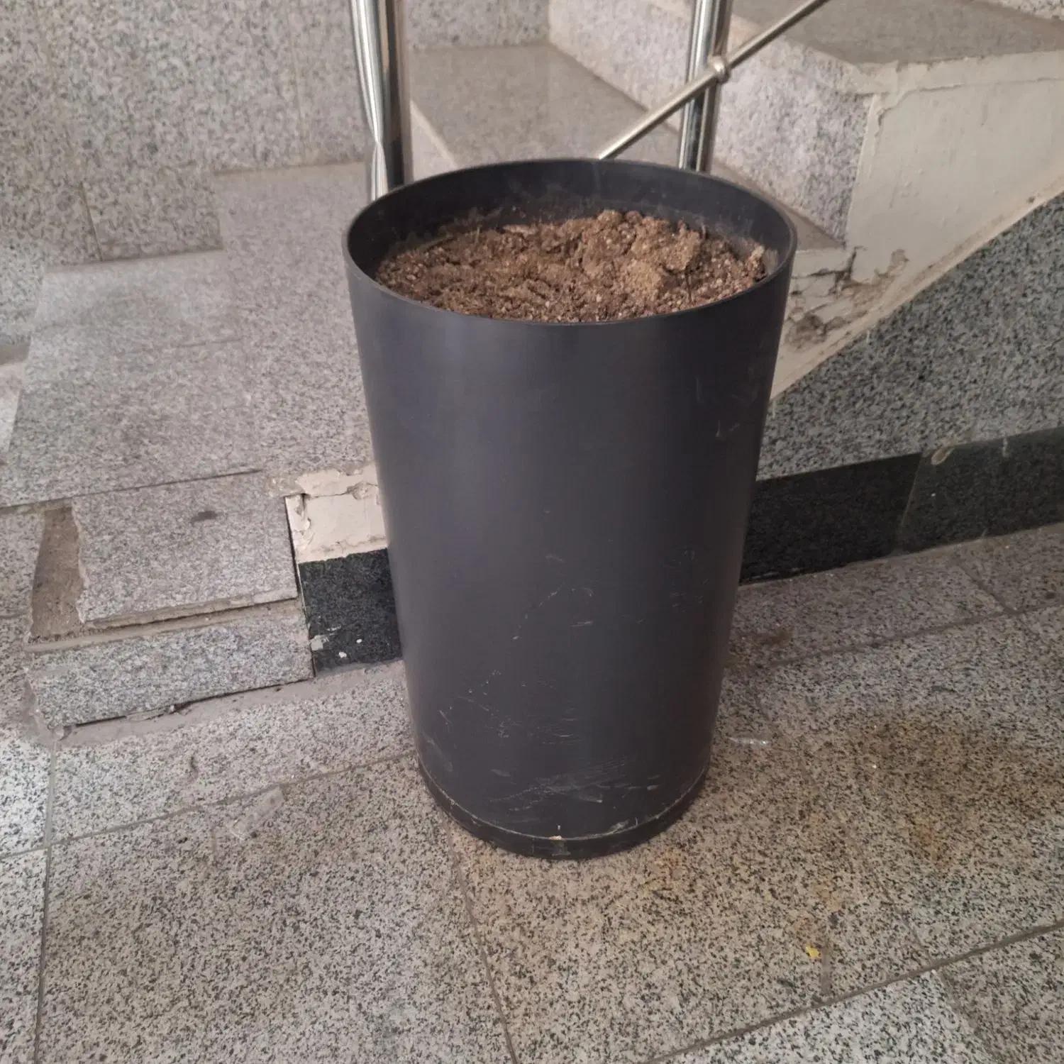 گلدون|گل و گیاه طبیعی|تهران, خواجه نظام الملک|دیوار