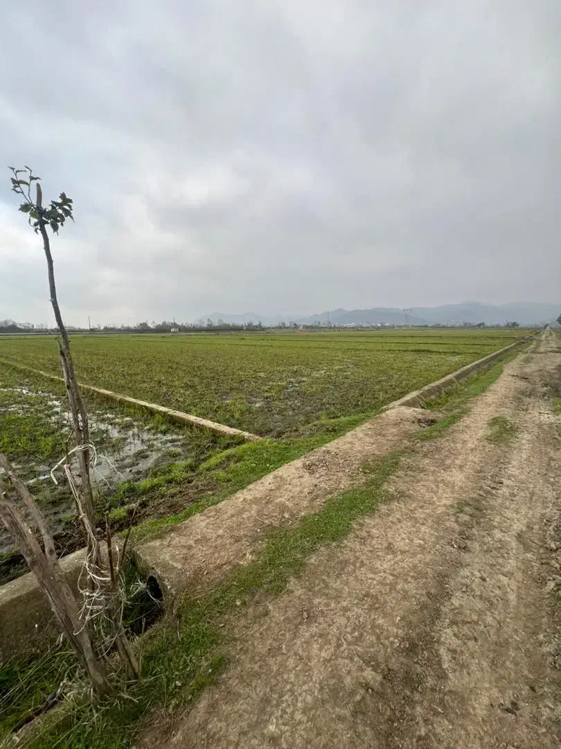 زمین مزروعی و شالیزار|فروش زمین و ملک کلنگی|لوندویل, |دیوار