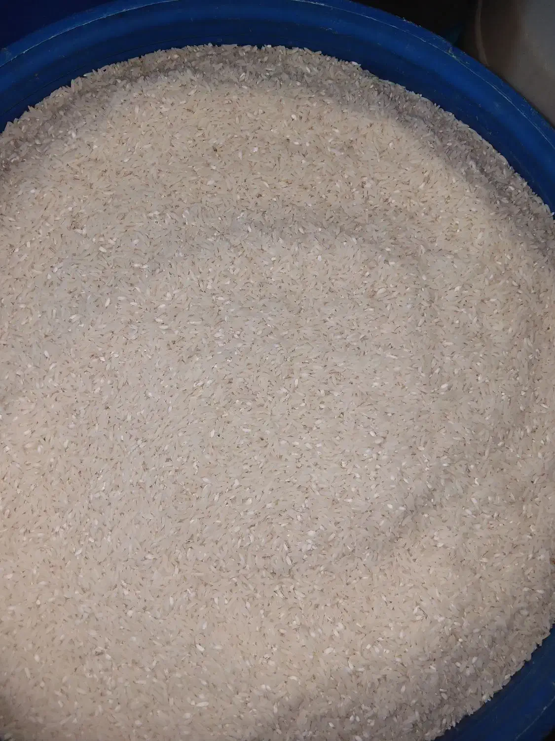 فروش برنج هاشمی|خوردنی و آشامیدنی|محمودآباد, |دیوار