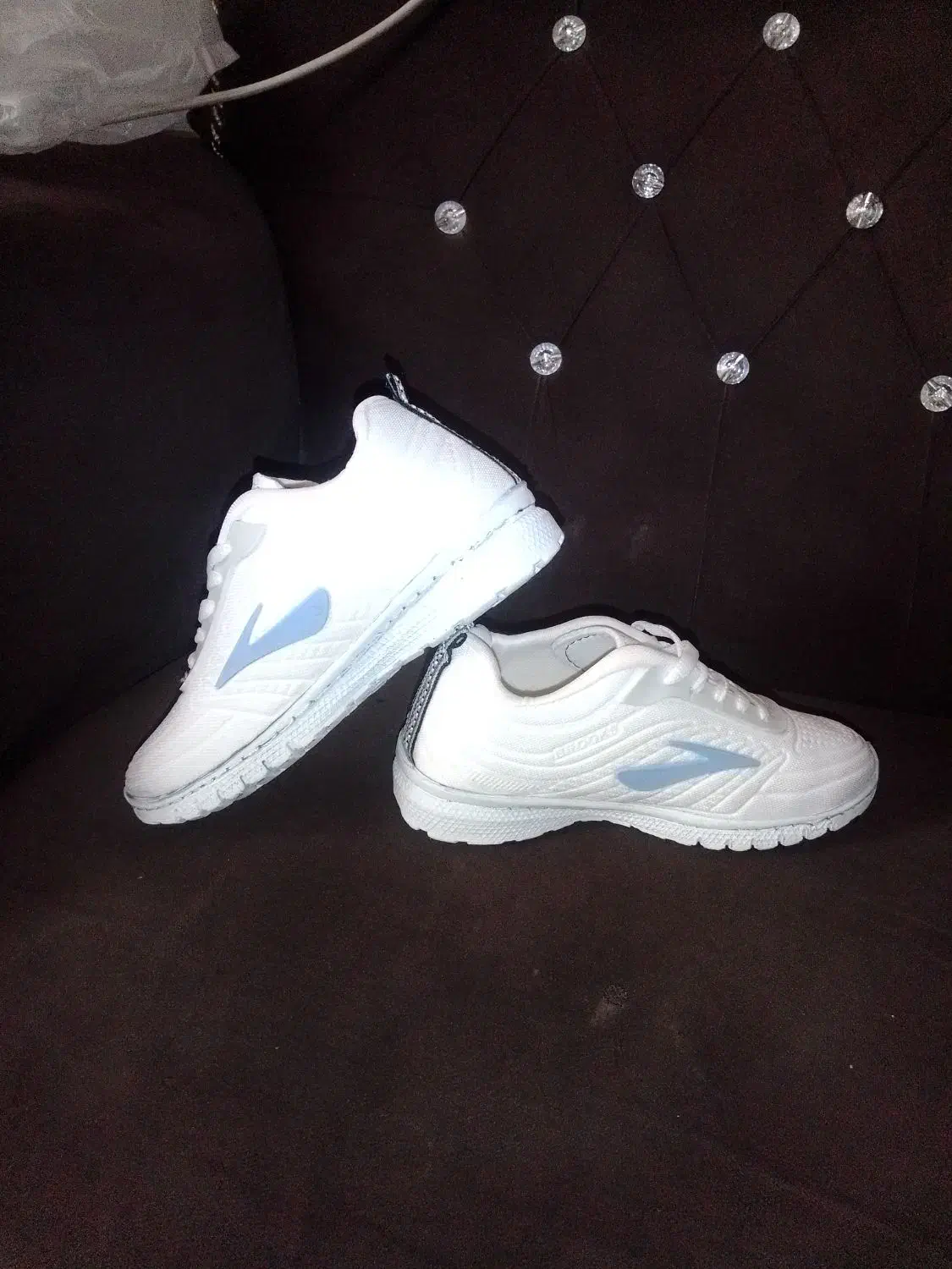 کفش|کیف، کفش، کمربند|شیراز, شهرک مدرس|دیوار