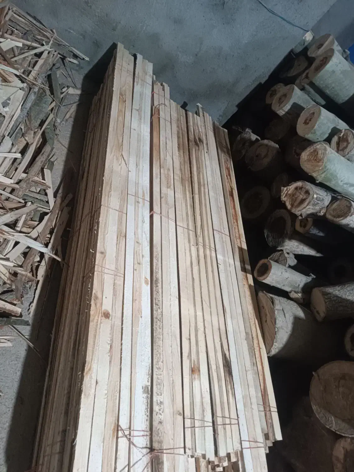 قیدمبلی سپیداری|عمده‌فروشی|مشهد, کشف|دیوار