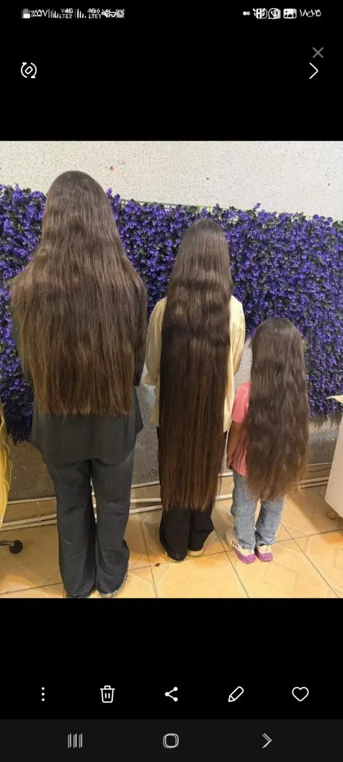 مجموعه موی طبیعی|آرایشی، بهداشتی، درمانی|رشت, پارک شهر|دیوار