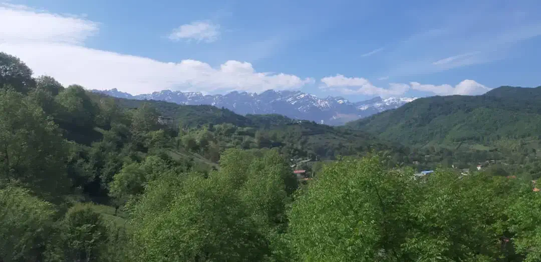 فروش زمین|فروش زمین و ملک کلنگی|فریم, |دیوار