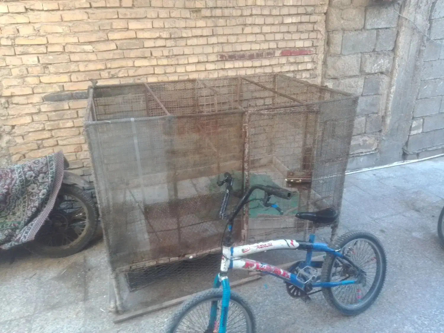 قفس کبوتریاکفتر بامیله گرد14و16|پرنده|بندر ماهشهر, |دیوار