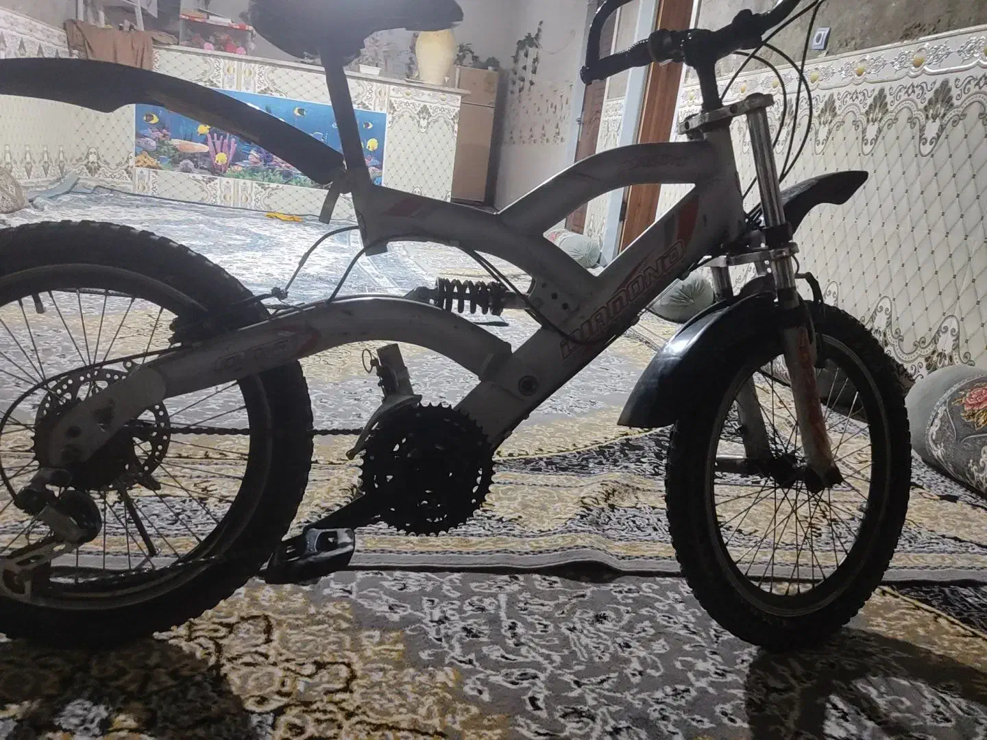 دوچرخه نو|دوچرخه، اسکیت، اسکوتر|خاش, |دیوار