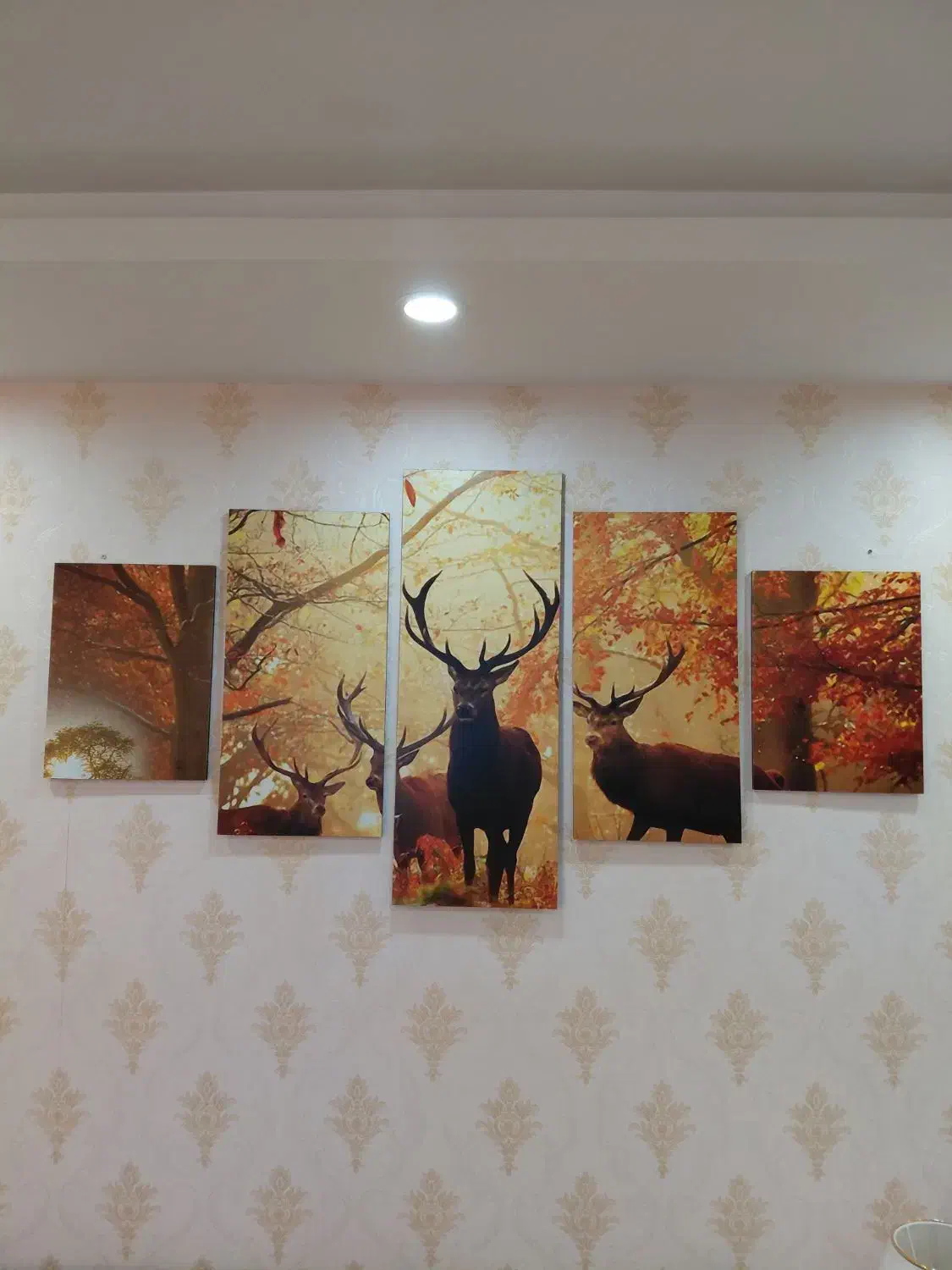 دو دست تابلو پازلی دکوراتیو|تابلو، نقاشی، عکس|بندر انزلی, ساحل قو|دیوار