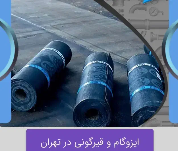 تشخیص ترکیدگی لوله با دستگاه اسکنر تصویری|خدمات پیشه و مهارت|تهران, بلوار کشاورز|دیوار