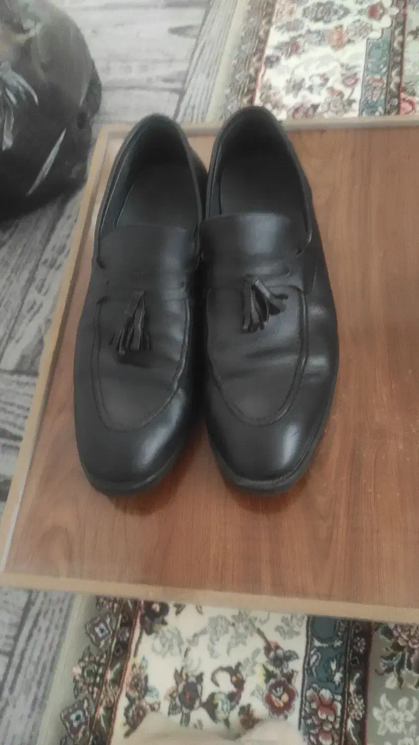 فروش|کیف، کفش، کمربند|بانه, |دیوار