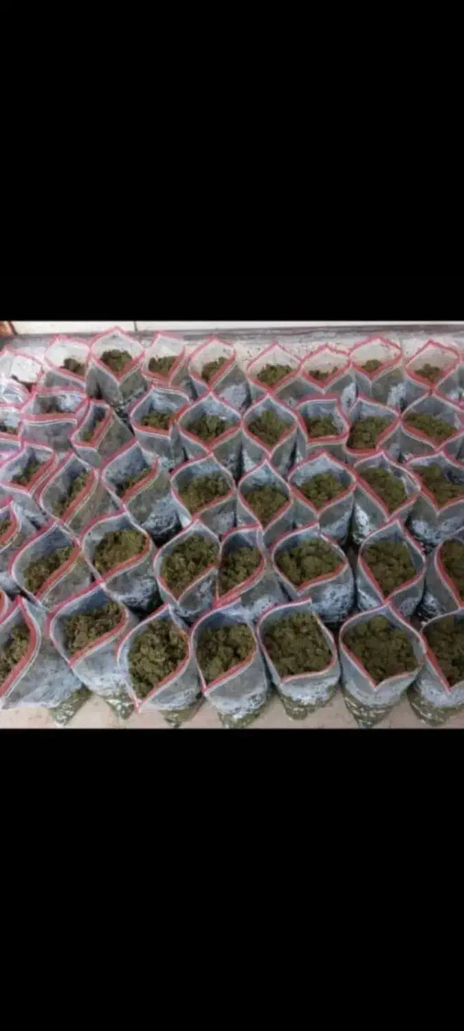 سبزی رامهرمز خوش عطر وخوشمزه عمده وخورده|خوردنی و آشامیدنی|سیراف, |دیوار