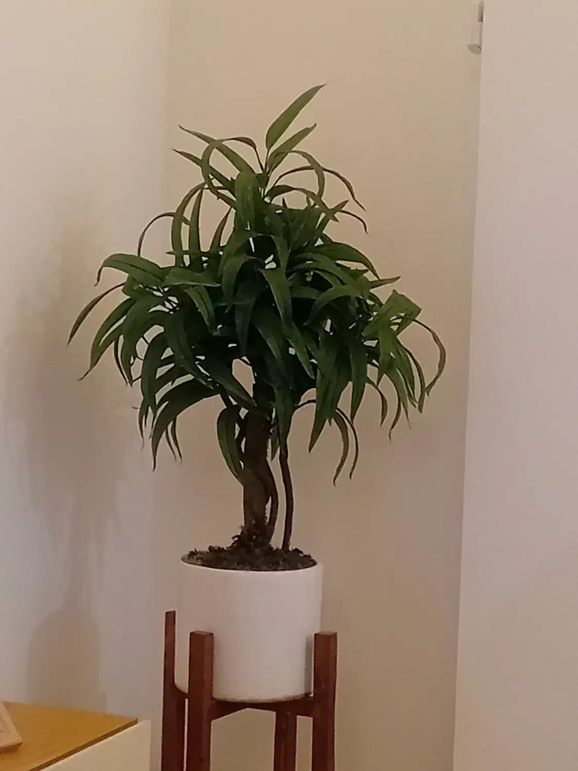 گل مصنوعی شیک|گل مصنوعی|کرج, کرج نو|دیوار