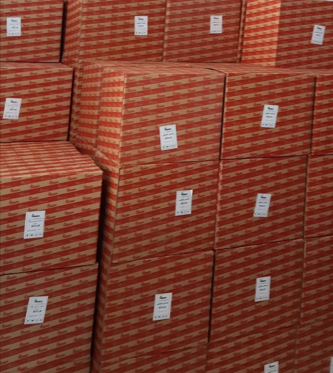 فروش ابگرمکن بوتان ۳۱۱۵ اقساطی|آبگرمکن، پکیج، شوفاژ|نیشابور, شهرک رسولی|دیوار