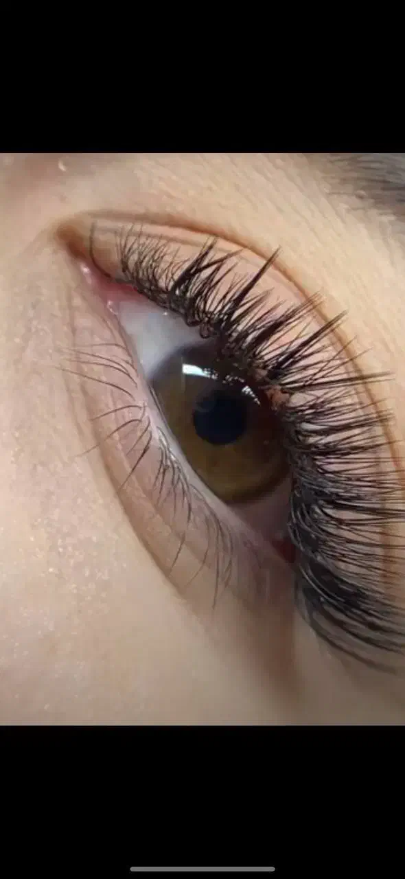 اکستنشین|خدمات آرایشگری و زیبایی|تربت جام, نظامی|دیوار