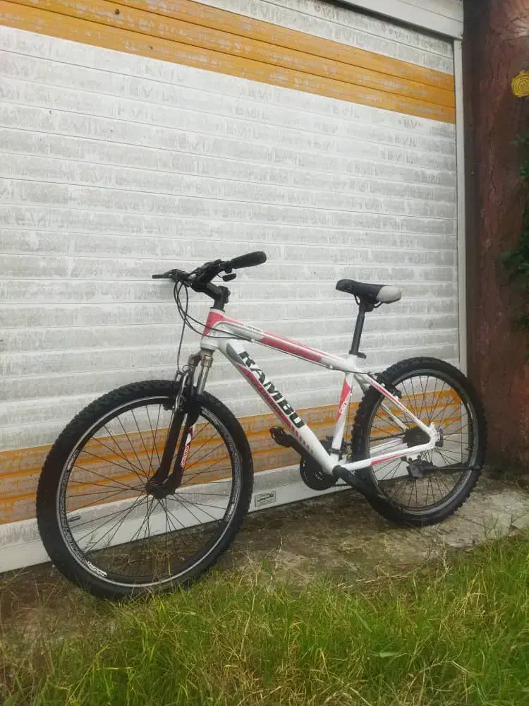 دو عدد دوچرخه دنده ای سایز 24 و 26|دوچرخه، اسکیت، اسکوتر|رشت, حومه رشت|دیوار