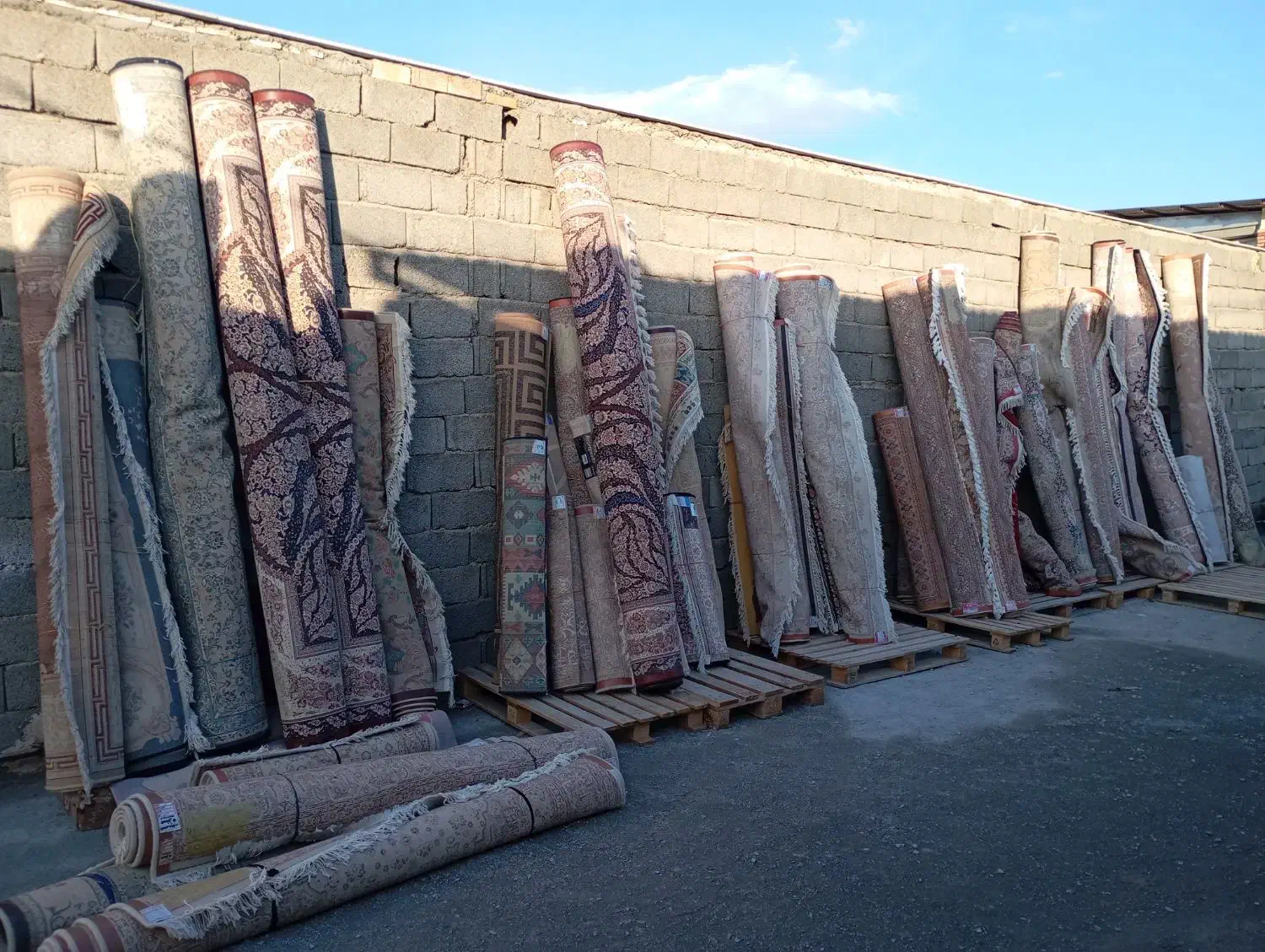 قالیشویی تمیزشور فردیس،اندیشه،مارلیک،سراسیاب،ملارد|خدمات نظافت|ملارد, |دیوار