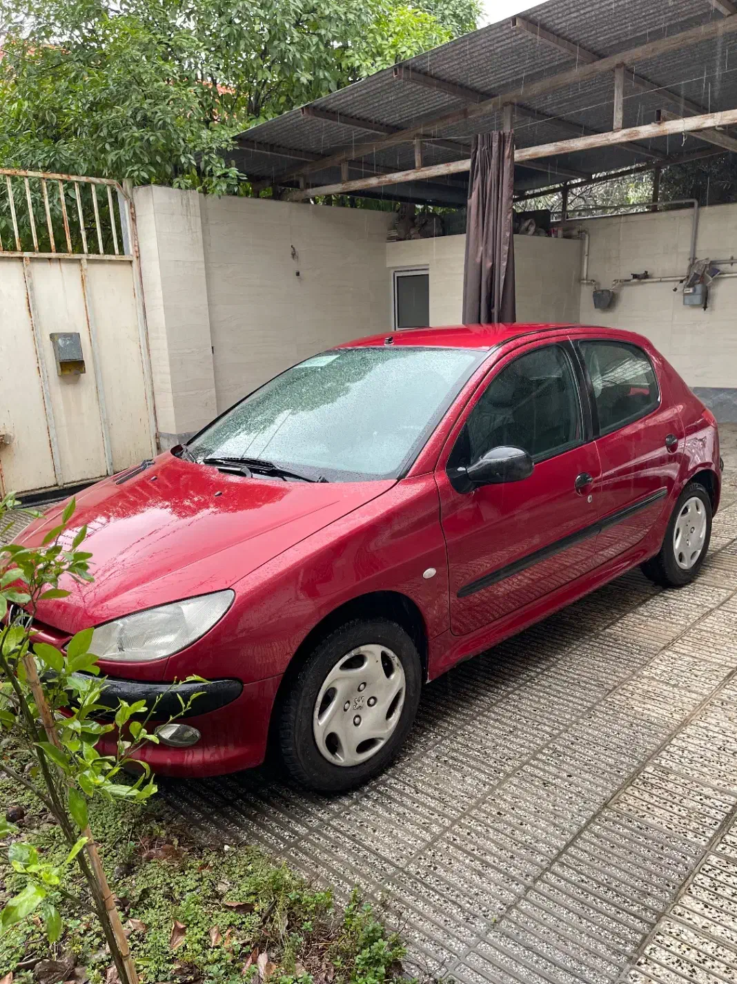 پژو ۲۰۶ مدل ۸۳|خودرو سواری و وانت|آزادشهر, |دیوار