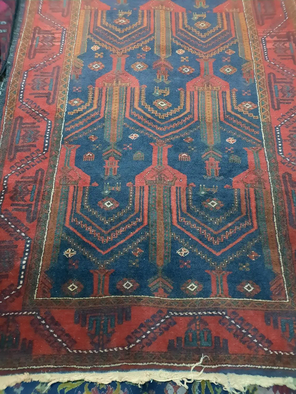 فرش دستباف قدیمی عتیقه پشمی دکور هتل رستوران|فرش|ارومیه, |دیوار