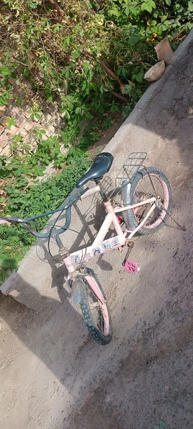 دوچرخه|دوچرخه، اسکیت، اسکوتر|زابل, |دیوار