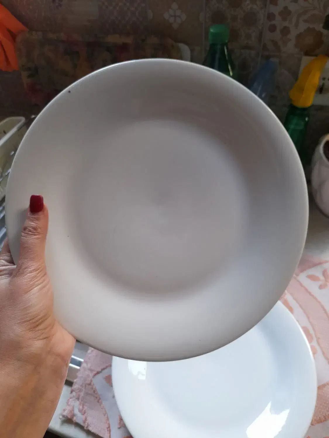 دنیای ظروف آشپزخانه|ظروف سرو و پذیرایی|تهران, حکیمیه|دیوار