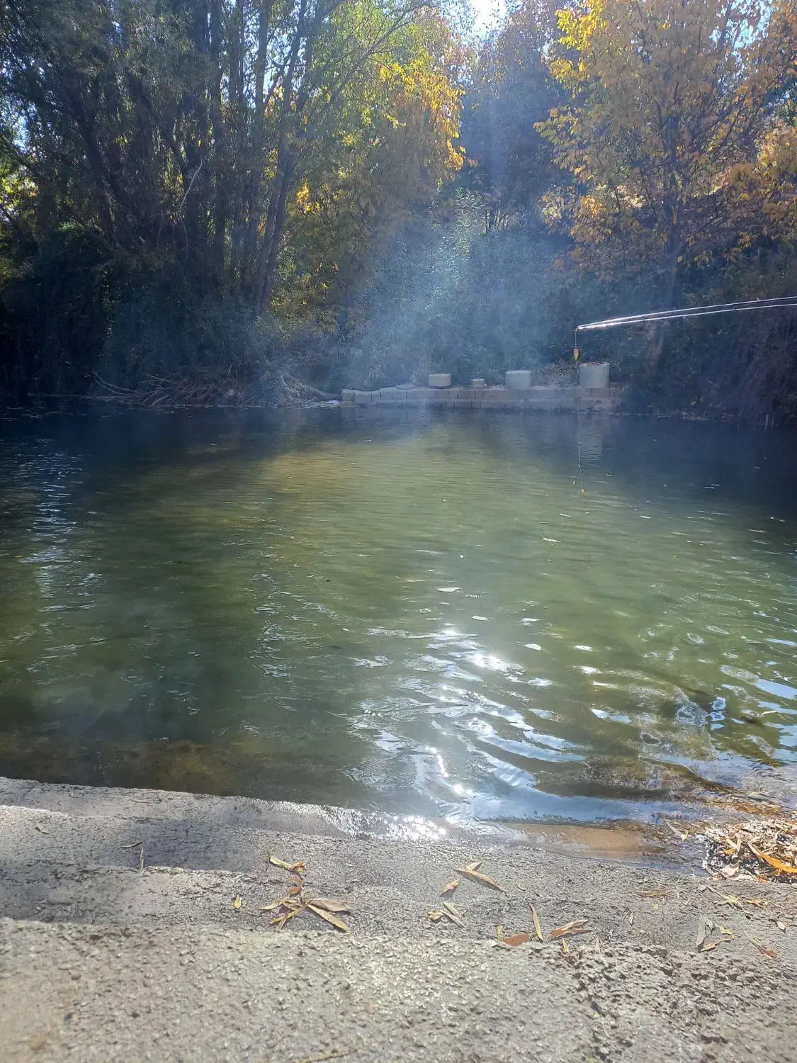 بنای ساختمان میخوام با شرایط|استخدام معماری، عمران و ساختمانی|برازجان, |دیوار