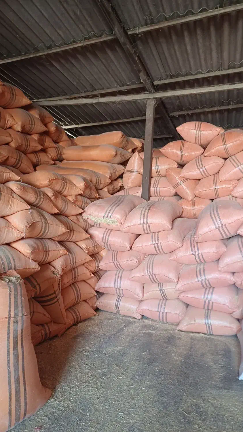 خوراک دام و آسیاب|عمدهفروشی|مشهد, خلق آباد سفلی|دیوار