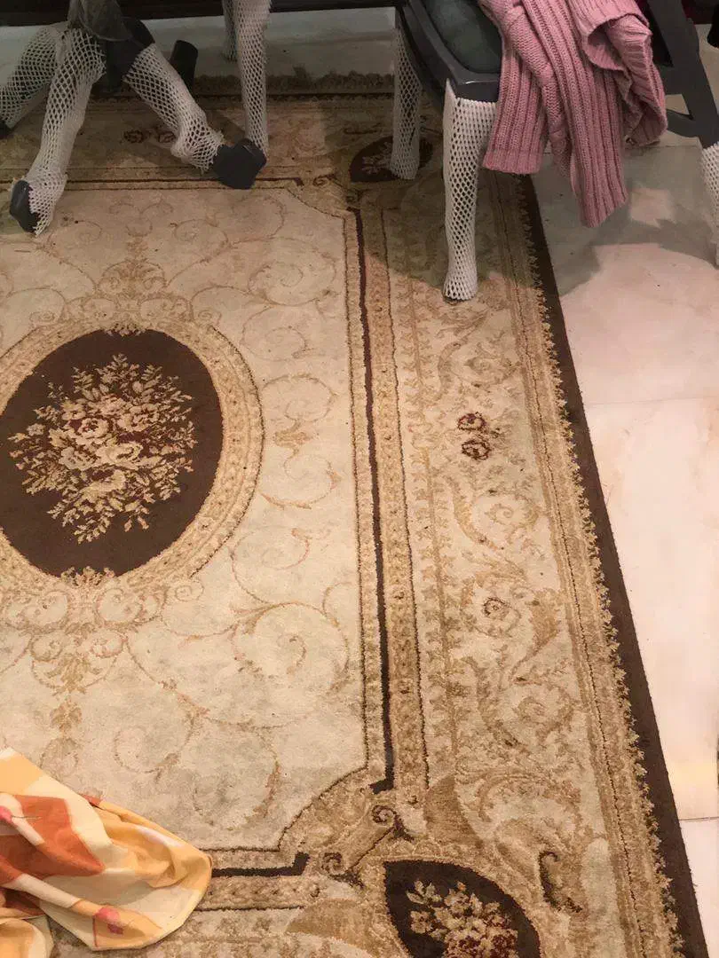 فرش ماشینی بلژیکی|فرش|رشت, گلباغ نماز|دیوار