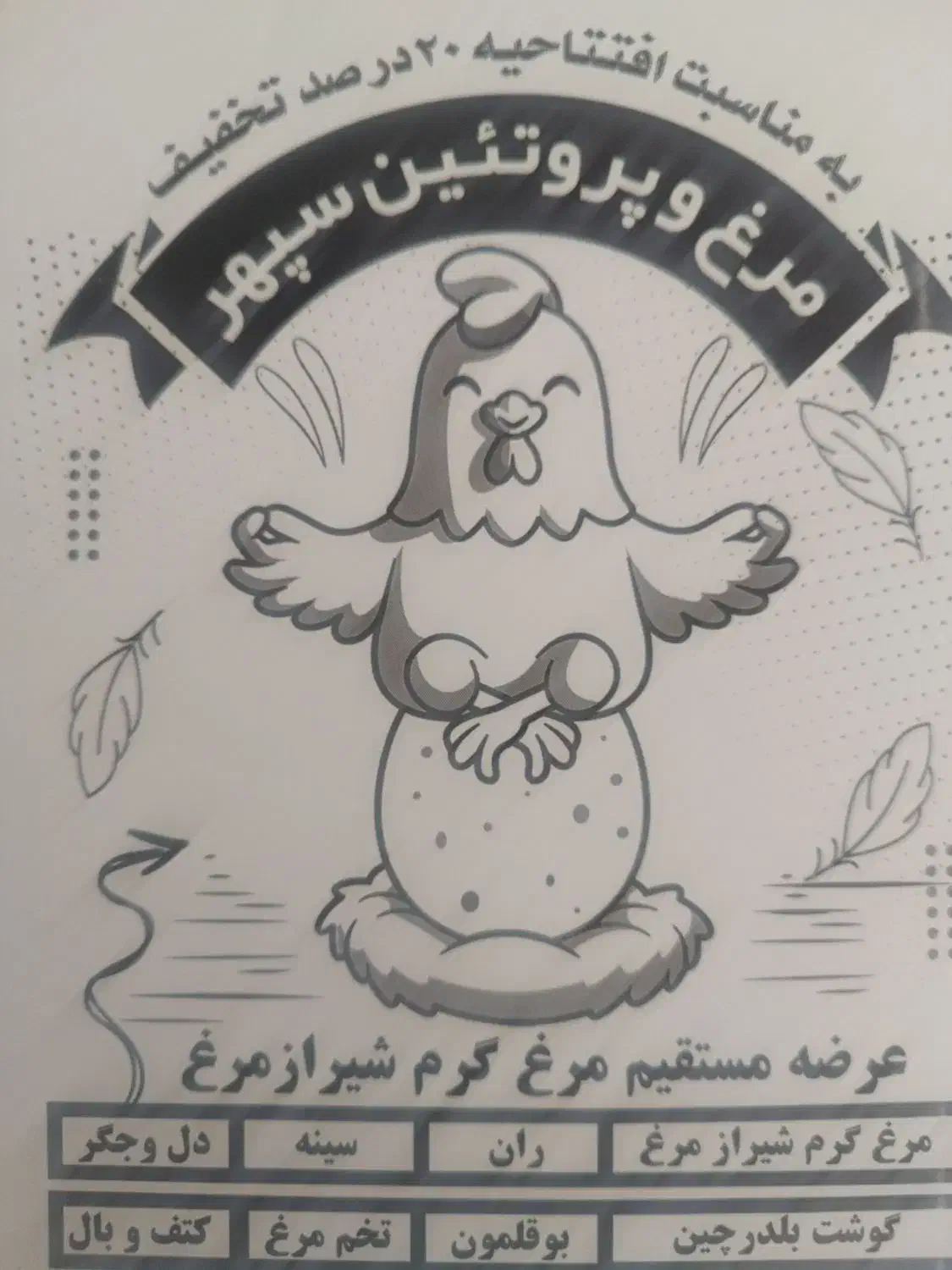 چاپ و طراحی تراکت تبلیغاتی|خدمات رایانه‌ای و موبایل|شیراز, ریاستی|دیوار