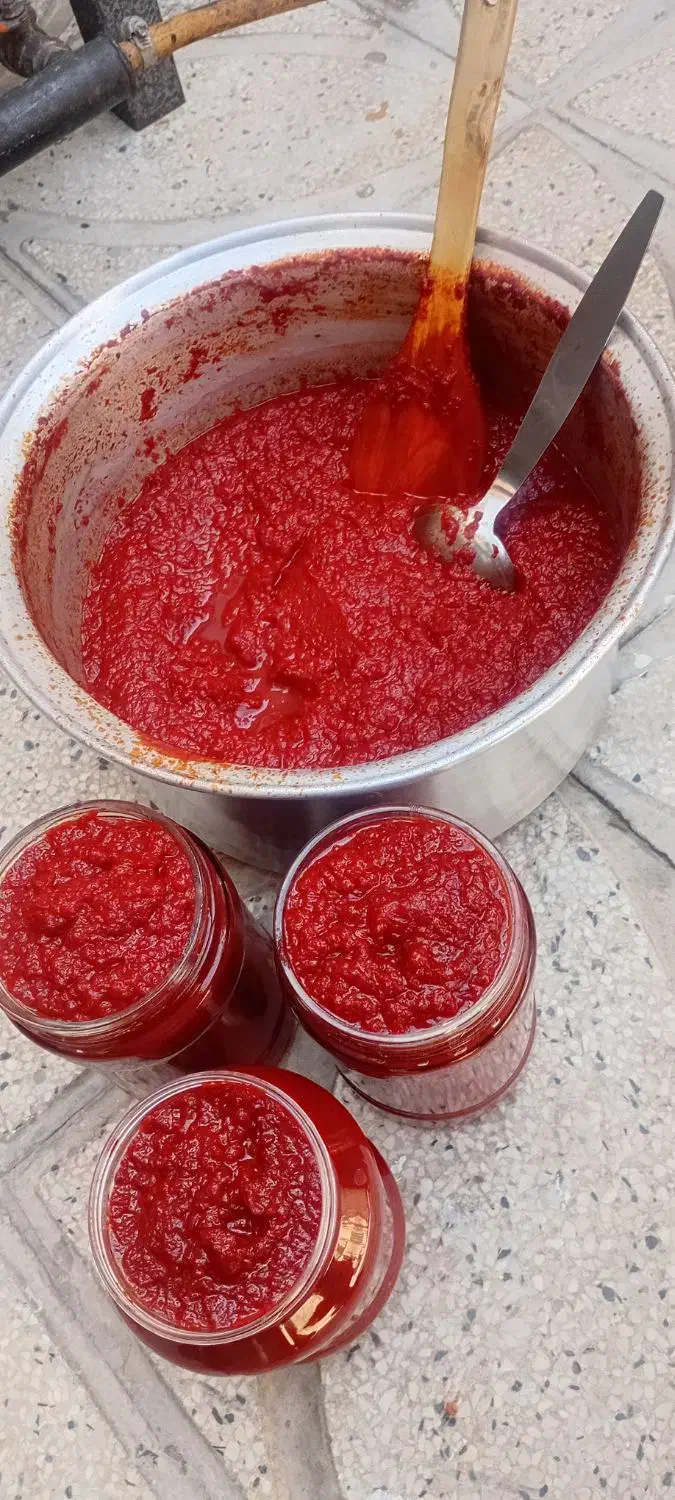 رب گوجه خانگی|خوردنی و آشامیدنی|شیراز, سیاه سنگ|دیوار